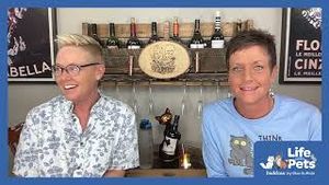 Video post by @bluebuffalo on YouTube
