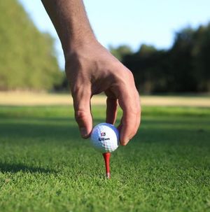 Image post by @wilsongolfcanada on Instagram