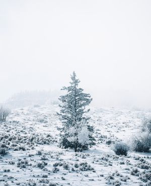Image post by @drewpeden on Instagram