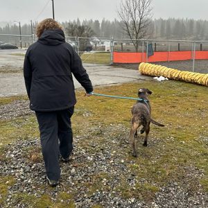 Image post by @spokhumanesoc on Instagram