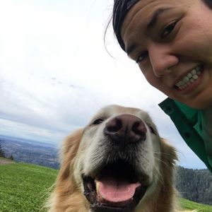 Image post by @amandakl on Instagram