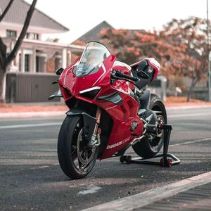 Image post by @panigalers on Instagram