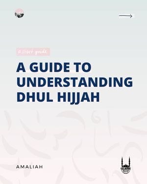 Image post by @amaliah_com on Instagram