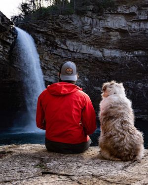Image post by @triumphpetfood on Instagram