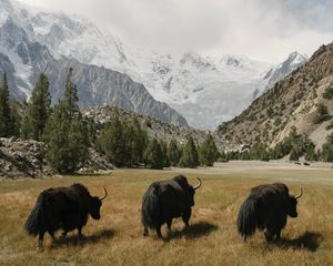 Image post by @natgeo on Instagram