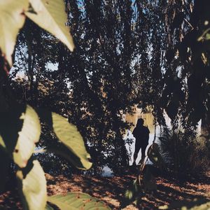 Image post by @zofeeagenota on Instagram