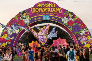 Image post by @beyondwland on Instagram