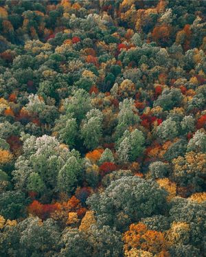 Image post by @dronepals on Instagram