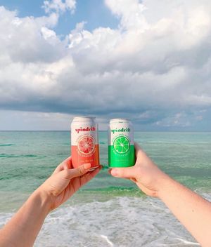 Image post by @drinkspindrift on Instagram