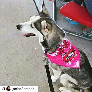 Image post by @carolinamudcats on Instagram