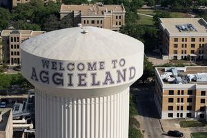 Image post by @tamu on Instagram