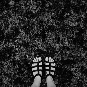 Image post by @curiocollection on Instagram
