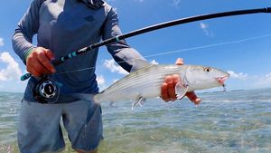 Image post by @toadfishoutfitters on Instagram