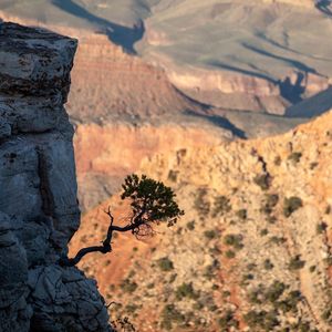 Image post by @nationalparkscollective on Instagram