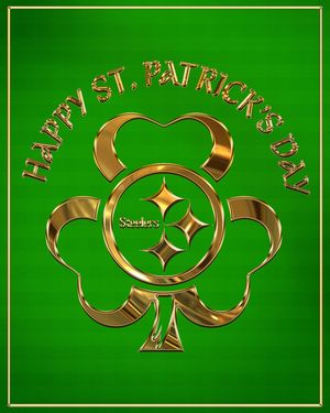 Image post by @steelersireland on Instagram