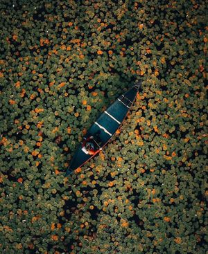 Image post by @fubiz on Instagram