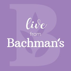 Image post by @shopbachmans on Instagram