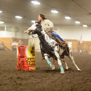 Image post by @kh_horse_consulting on Instagram
