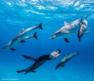 Image post by @discovery on Instagram