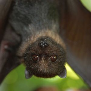 Image post by @discovery on Instagram