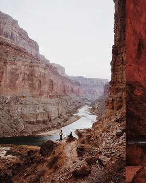 Image post by @elvieinthewild on Instagram