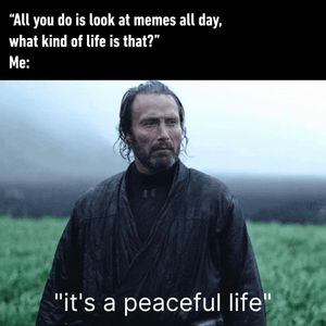Image post by @9gag on Instagram