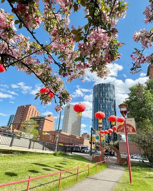 Image post by @cityofcalgary on Instagram