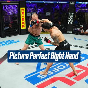Image post by @pflmma on Instagram