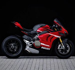 Image post by @panigalers on Instagram