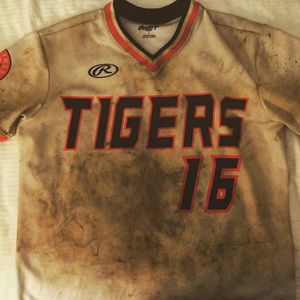 Image post by @rawlingstigers on Instagram