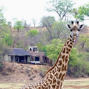 Image post by @chiawasafaris on Instagram