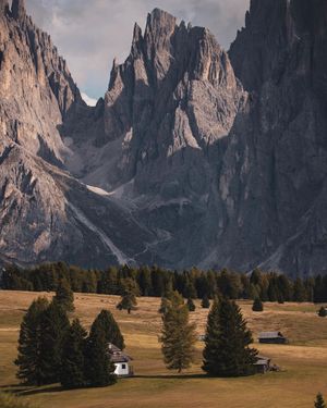 Image post by @lindsaygraceakers on Instagram
