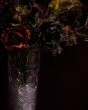 Image post by @jackportunephotography on Instagram