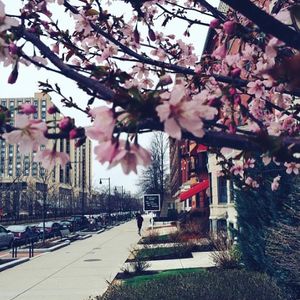 Image post by @bostonu on Instagram