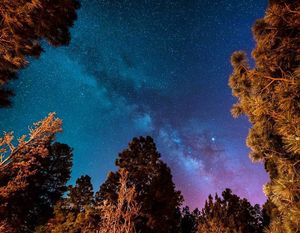 Image post by @nauflagstaff on Instagram