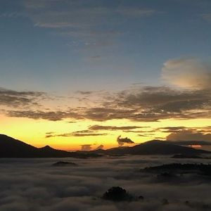 Image post by @discovery on Instagram