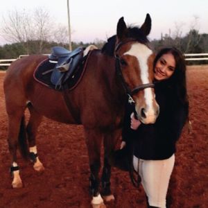 Image post by @appalachianequestrian on Instagram