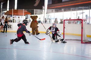 Image post by @the_rinks on Instagram