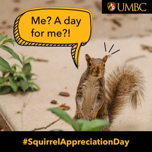 Image post by @umbclife on Instagram