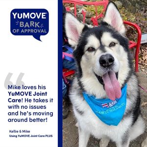 Image post by @yumove_usa on Instagram