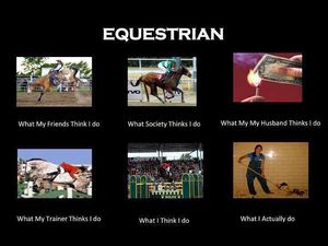 Image post by @equineidsolutions on Instagram