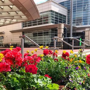 Image post by @bostonu on Instagram