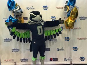 Image post by @blitztheseahawk on Instagram