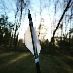 Image post by @calebjeastman on Instagram