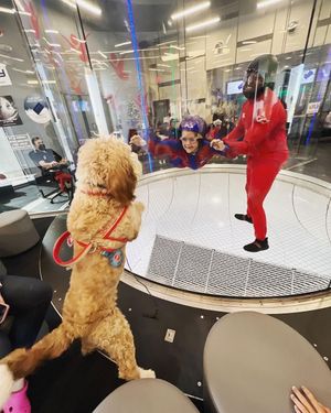 Image post by @iflyus on Instagram