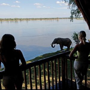 Image post by @chiawasafaris on Instagram