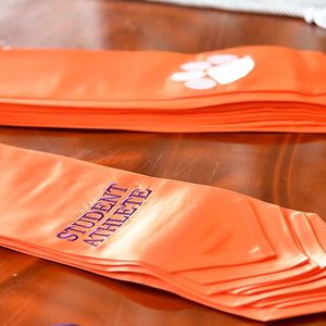 Image post by @clemsonwbb on Instagram