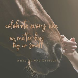 Image post by @ankehawke on Instagram