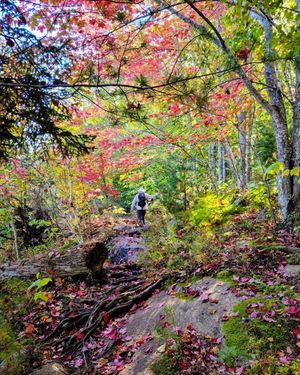 Image post by @nationalparkservice on Instagram