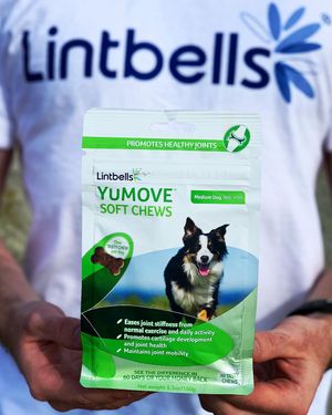 Image post by @yumove_usa on Instagram